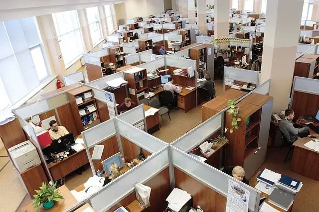 employee engagement