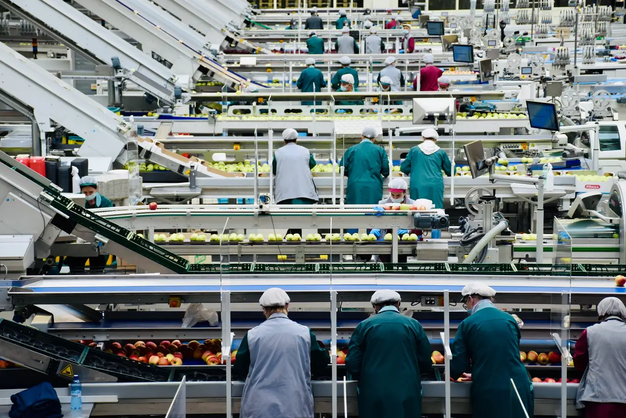 employment background screening