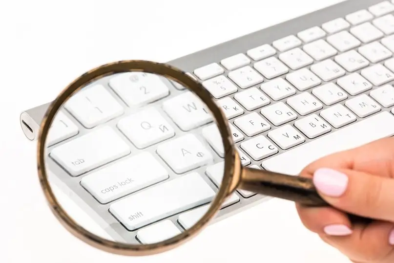 fraud investigator