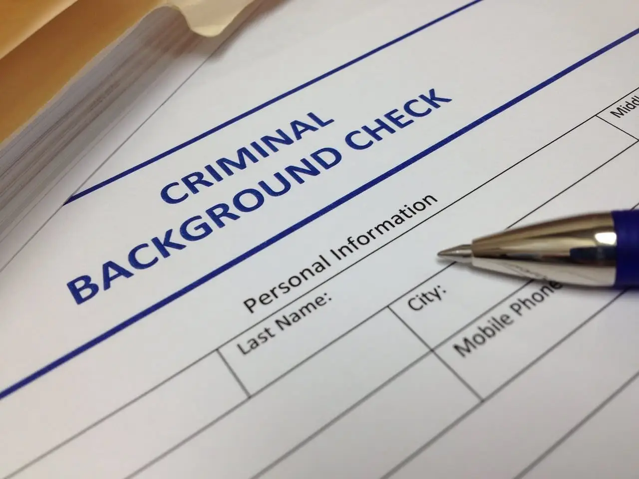 criminal and litigation check